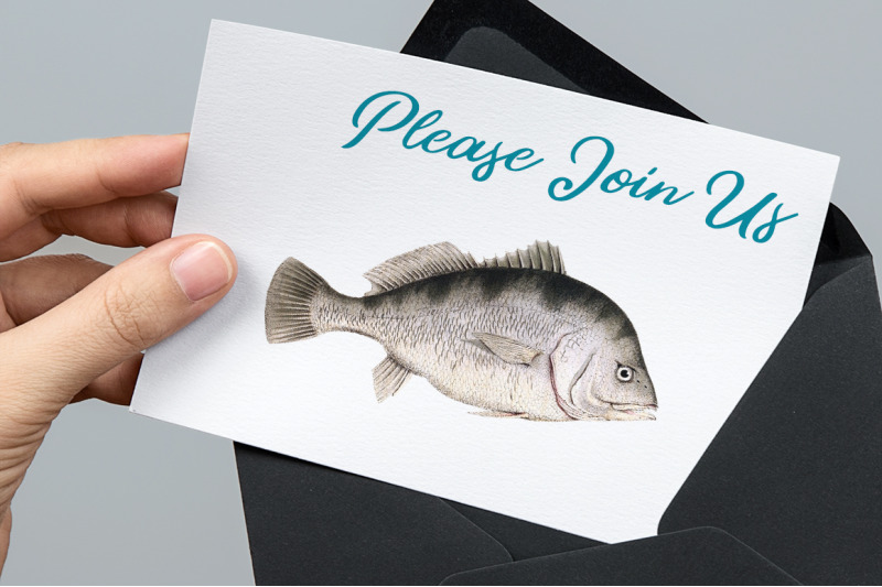 fish-clipart