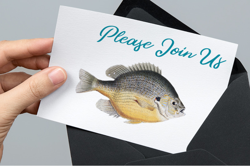 fish-clipart