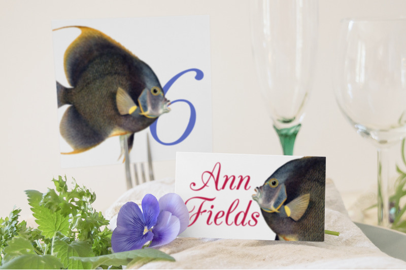 angel-fish-clipart