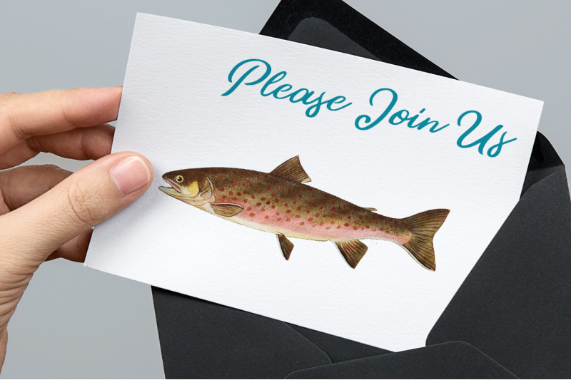 trout-fish-clipart