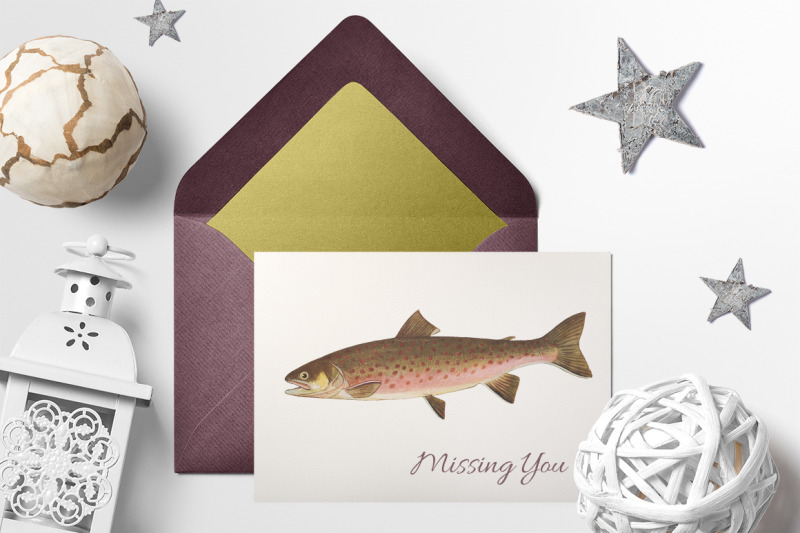 trout-fish-clipart