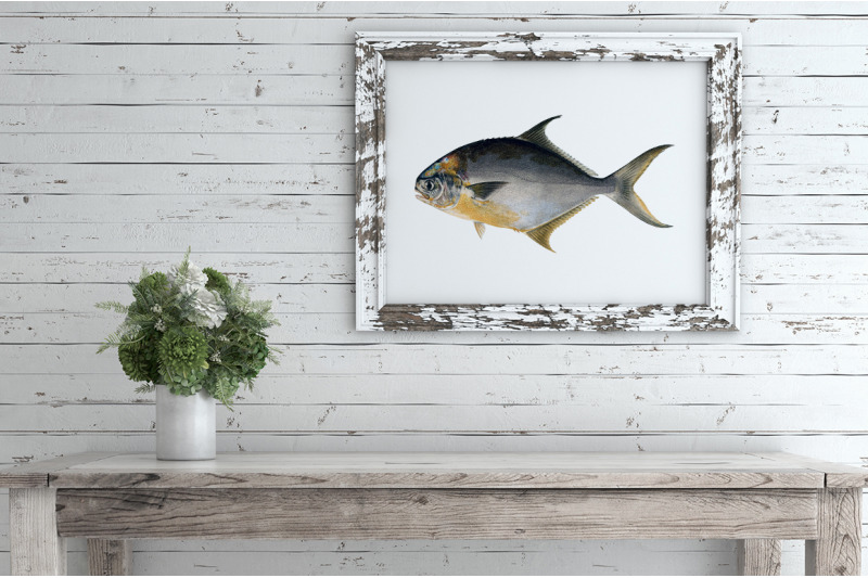 fish-clipart