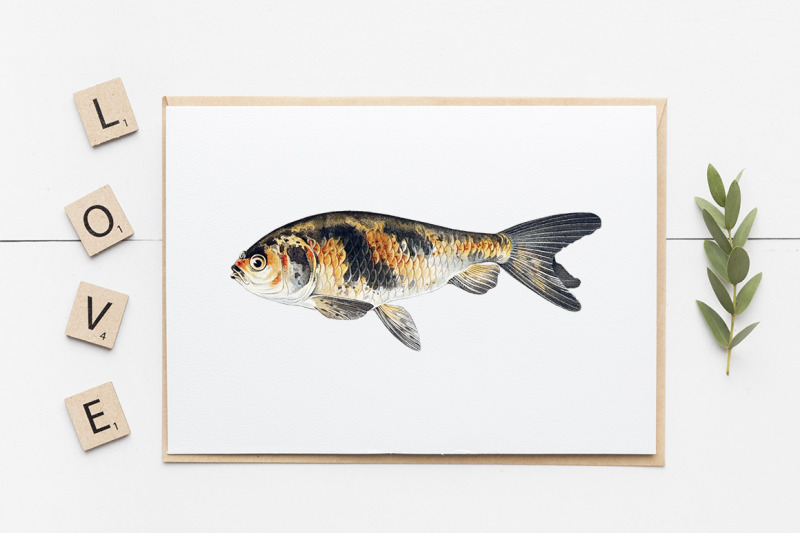 koi-goldfish-clipart