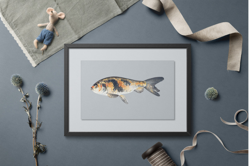 koi-goldfish-clipart