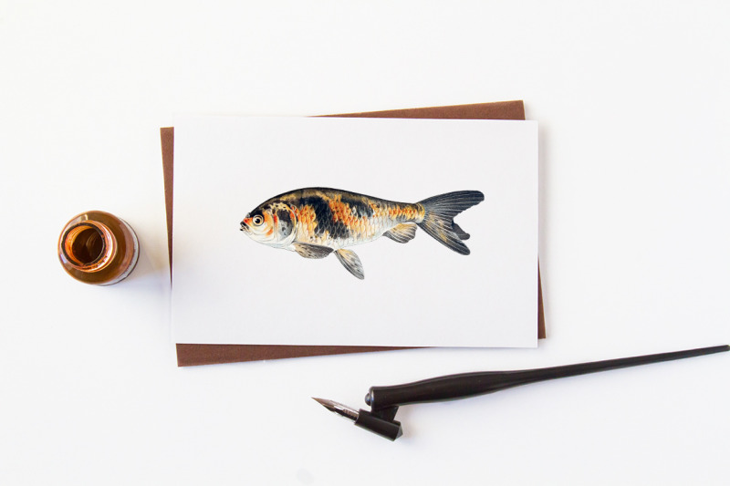 koi-goldfish-clipart