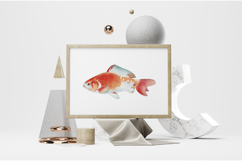 koi-goldfish-clipart