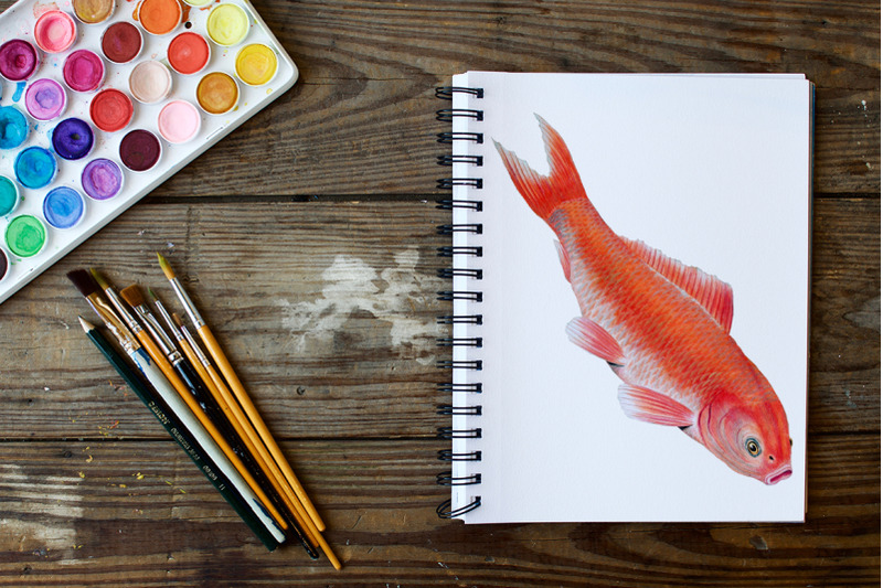 koi-goldfish-clipart