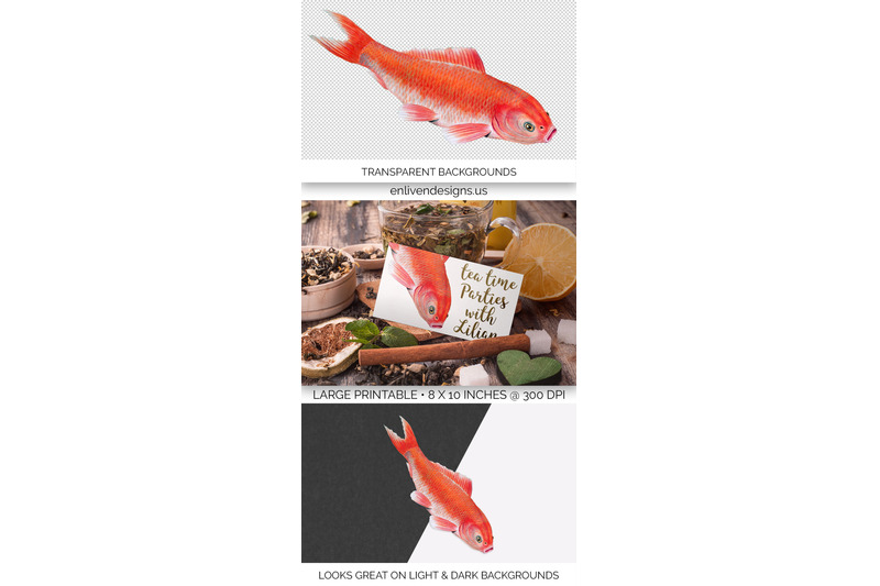 koi-goldfish-clipart