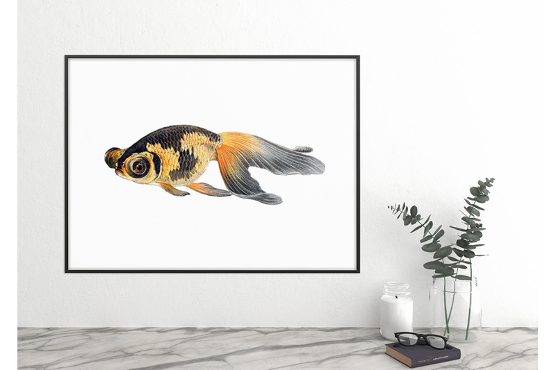 koi-goldfish-clipart