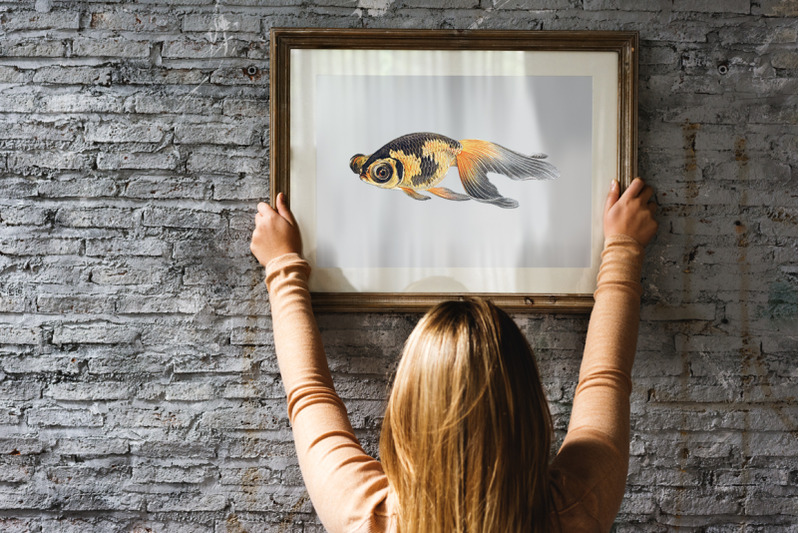 koi-goldfish-clipart