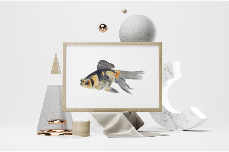 koi-goldfish-clipart