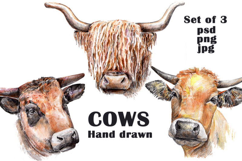 set-of-cows-hand-drawn
