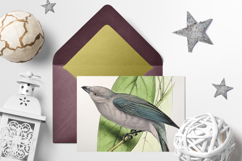 bird-clipart-tanager