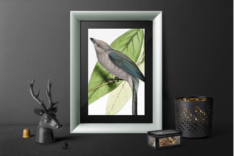 bird-clipart-tanager