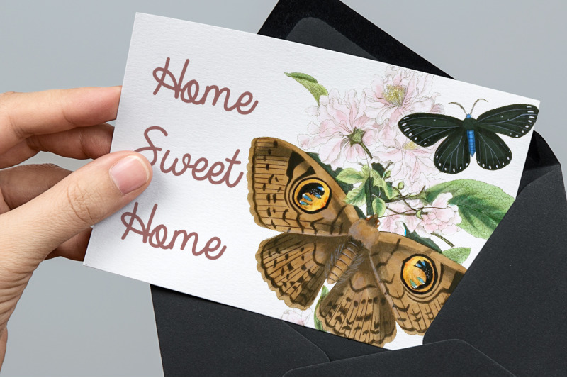 butterflies-clipart-moth