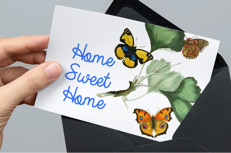 butterflies-clipart