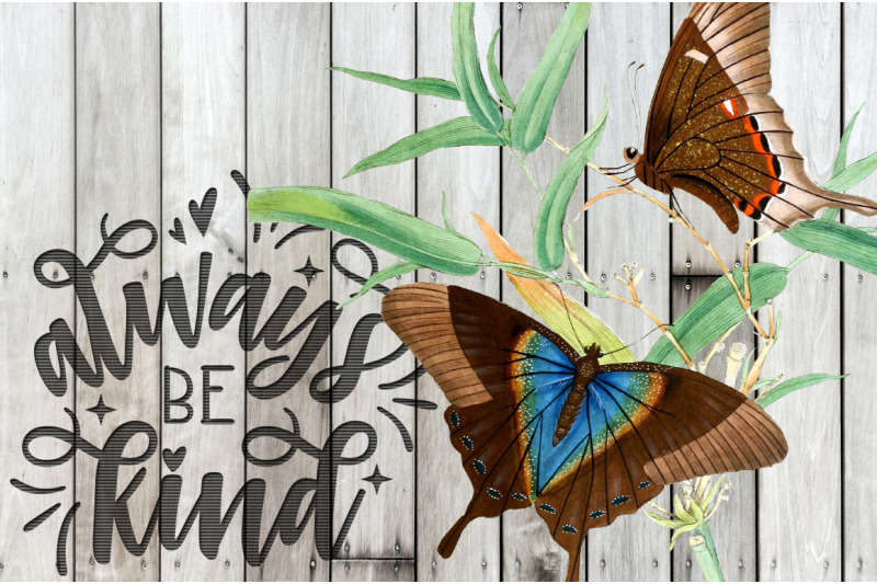 butterflies-clipart