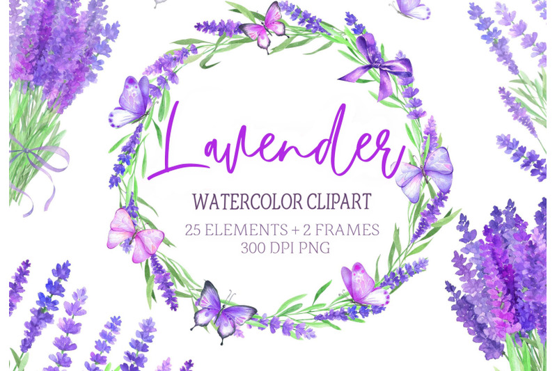 watercolor-lavender-clipart-butterflies-clip-art-flower-purple-rustic