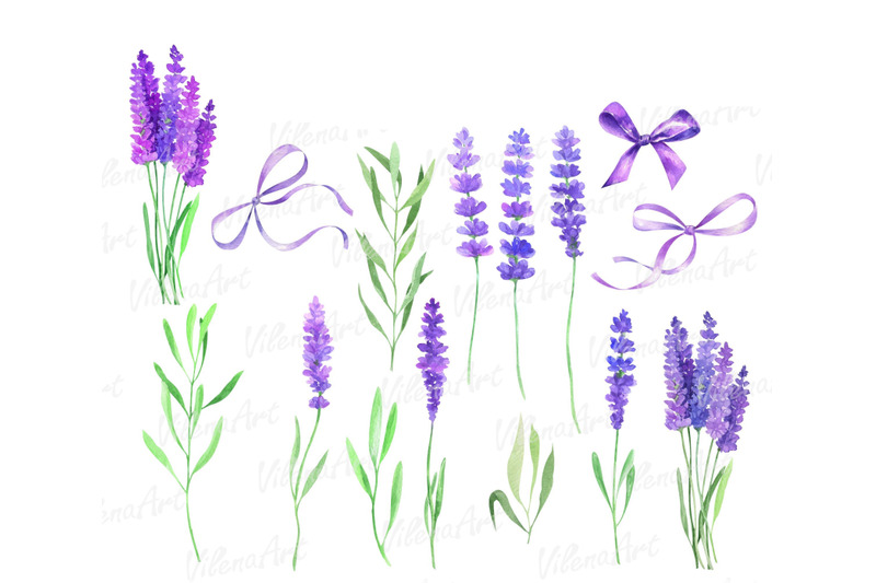 watercolor-lavender-clipart-butterflies-clip-art-flower-purple-rustic