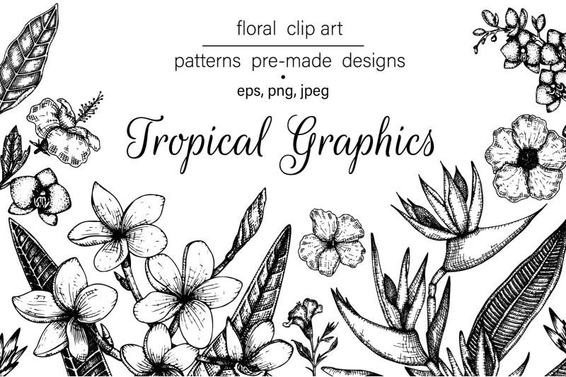 tropical-graphics