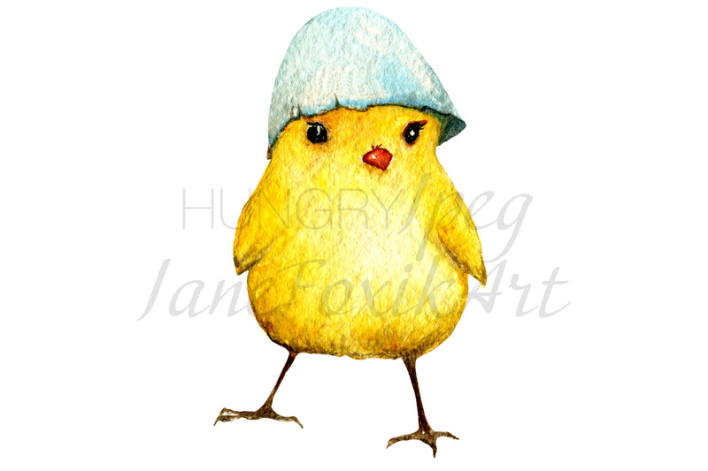 newborn-chicken-boss-watercolor-illustration-png-and-jpg