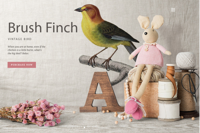 finch-bird-clipart