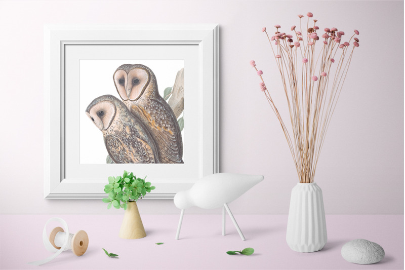 owl-clipart