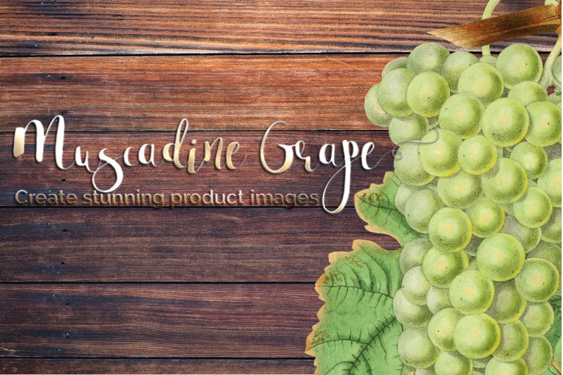 grapes-fruit-clipart