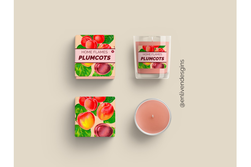 plumcots-fruit-clipart