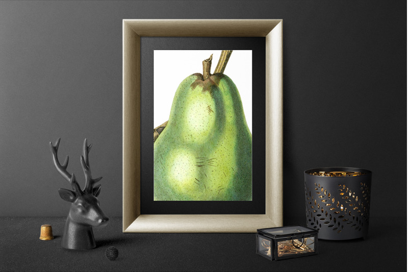 pear-fruit-clipart