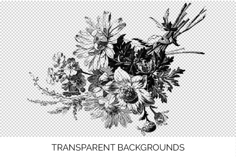 flowers-black-and-white-clipart