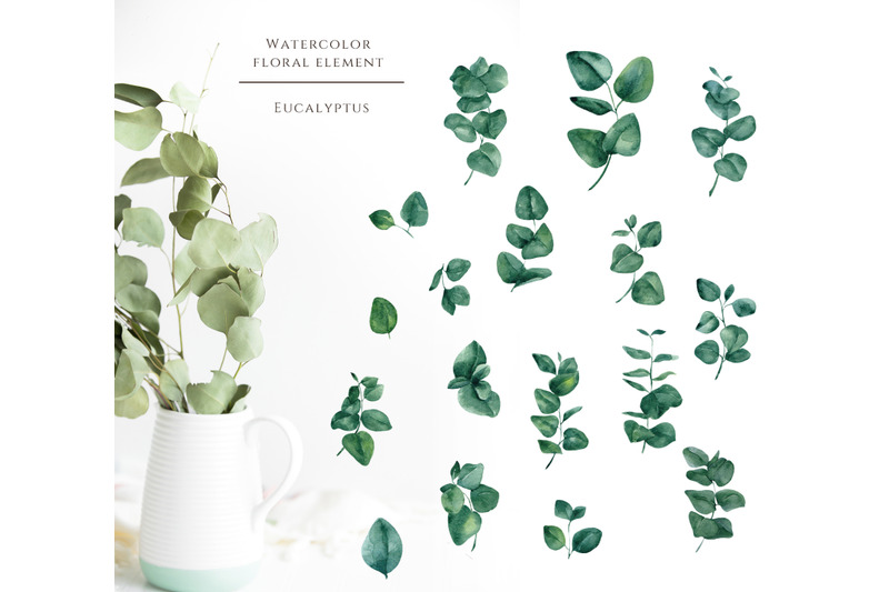 cotton-and-eucalyptus