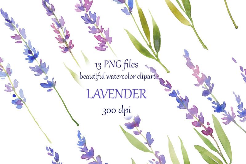 watercolor-hand-painted-lavender-clipart