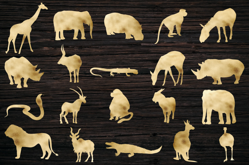 safari-animals-clipart