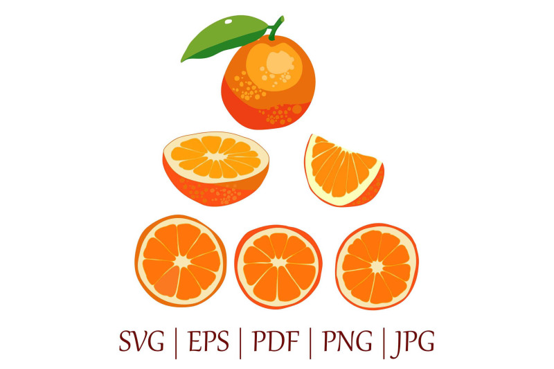 bright-orange-fruit-vector-illustrations