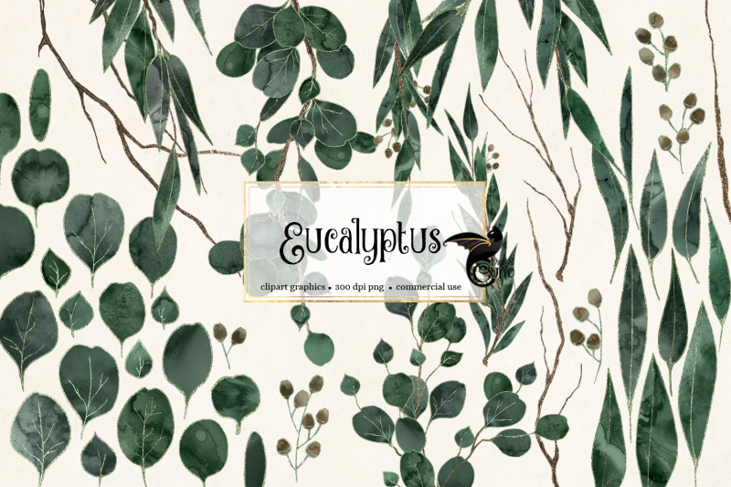 eucalyptus-clipart