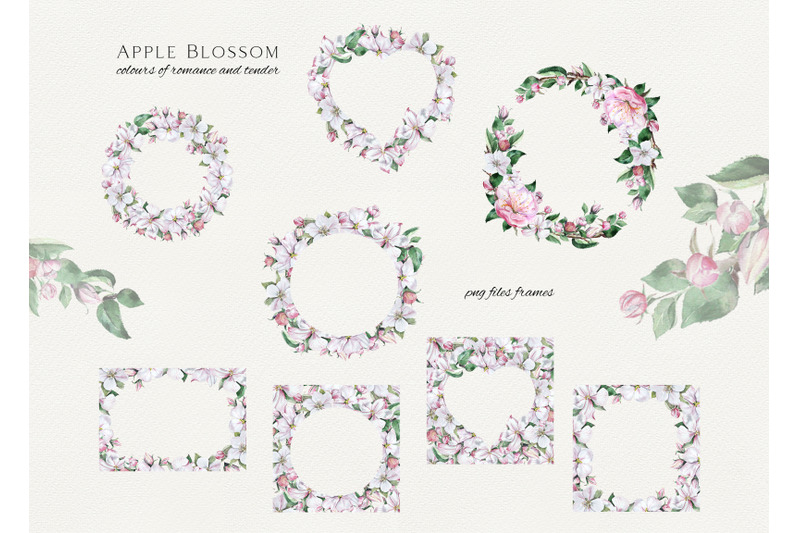 watercolor-apple-blossom-frames-clipart-spring-flowers-clip-art-wate