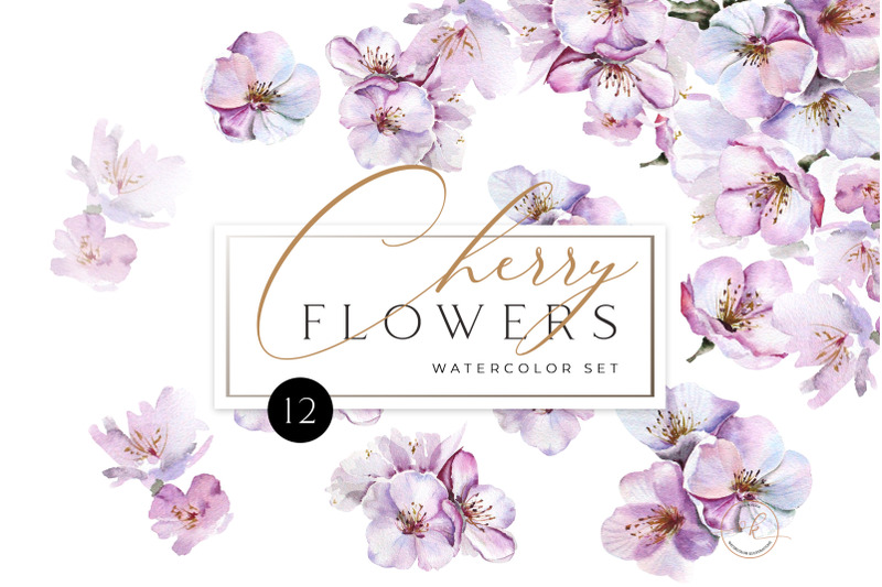 cherry-blossom-watercolor-set-png-floral-clipart-spring-flowers