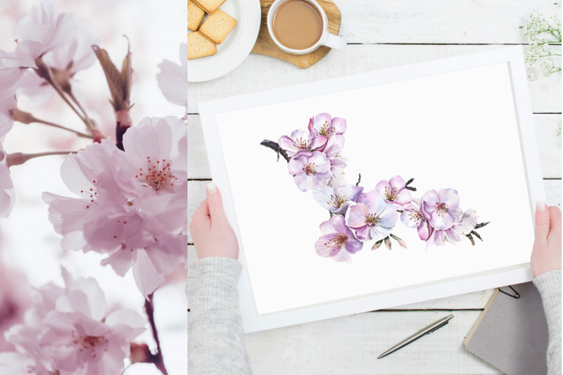 Cherry Blossom Watercolor Set. PNG floral Clipart. Spring flowers By
