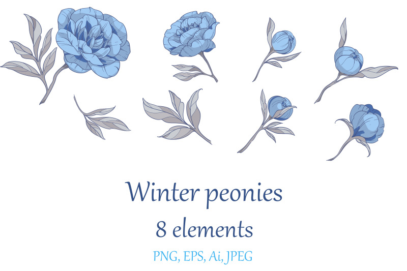 winter-blue-peonies-set-8-elements