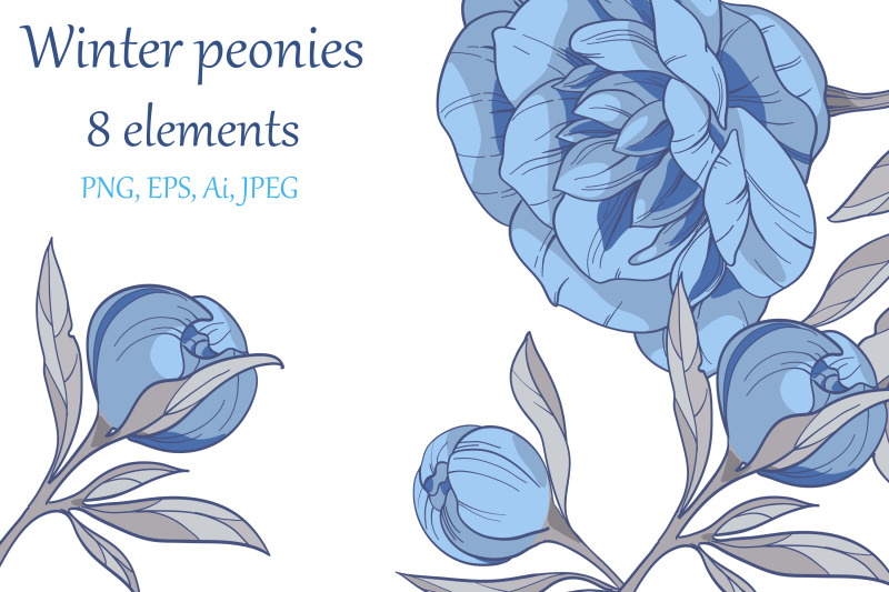 winter-blue-peonies-set-8-elements