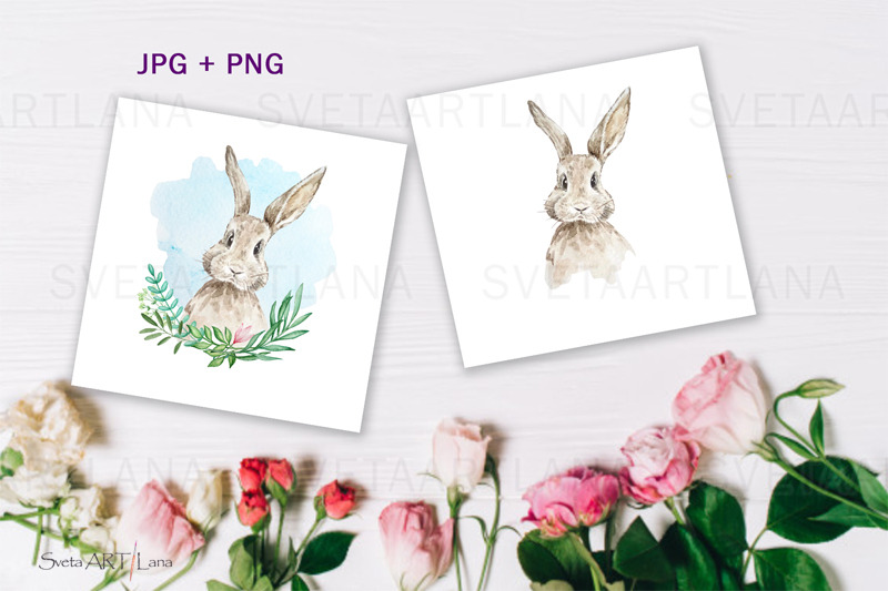 watercolor-spring-rabbit-clipart-set