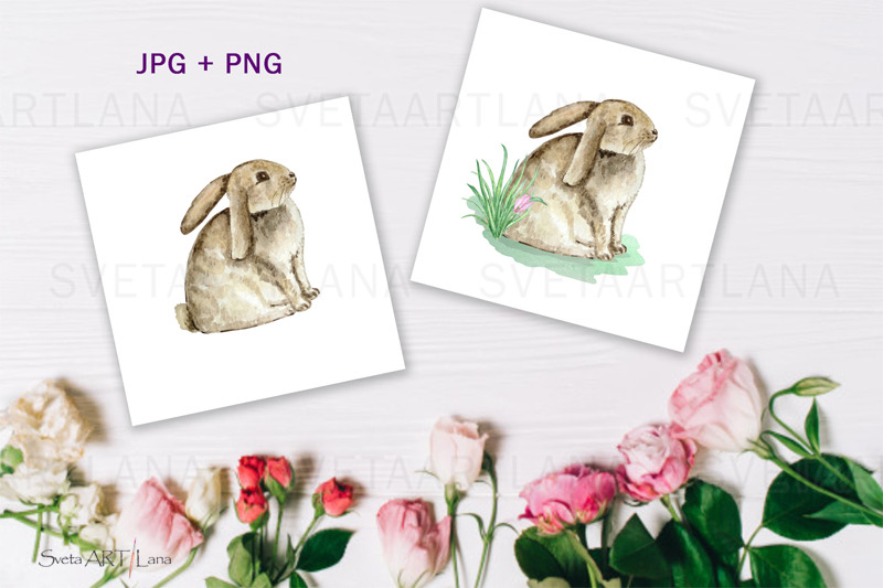 watercolor-spring-rabbit-clipart-set