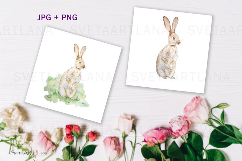 watercolor-spring-rabbit-clipart-set