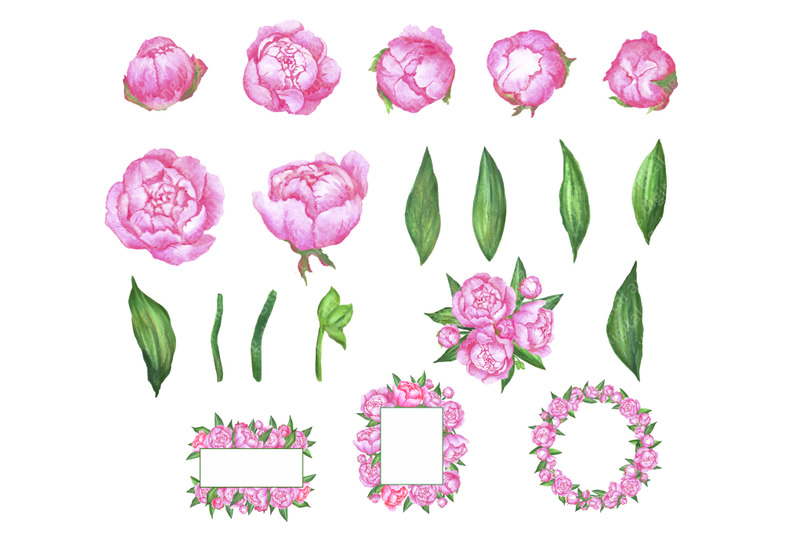 watercolor-floral-clipart-spring-pink-peony-floral-frame-and-wreath