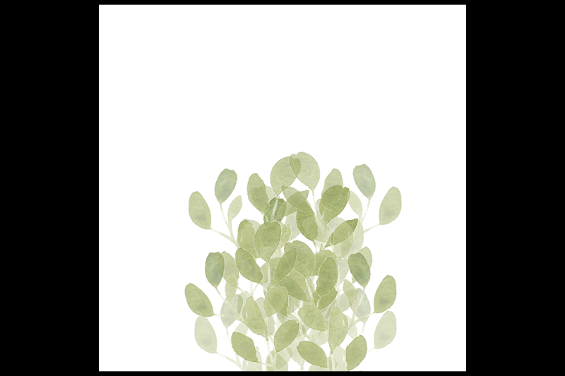 watercolor-leaves-clipart-set-3