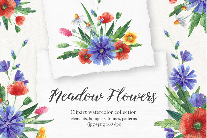 meadow-flowers
