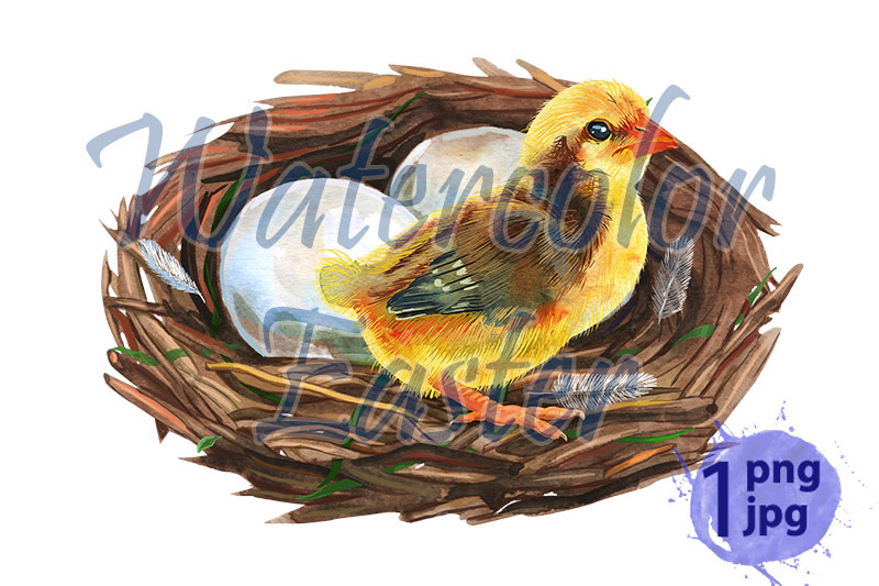 hand-drawn-watercolor-art-bird-nest-with-eggs-and-chicken