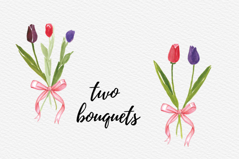 watercolor-tulips-clip-art-hand-painted-tulip-flowers-spring-flowers