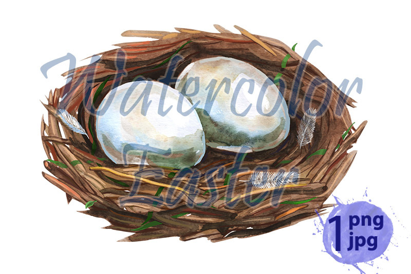 hand-drawn-watercolor-art-bird-nest-with-eggs